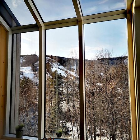 Condo Sur 2 Niveaux Avec Magnifique Vue Sur La Montagne สโตนแฮม ภายนอก รูปภาพ