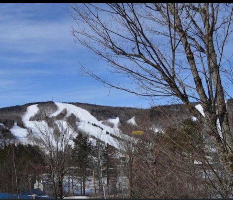 Condo Sur 2 Niveaux Avec Magnifique Vue Sur La Montagne สโตนแฮม ภายนอก รูปภาพ